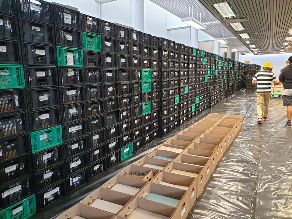 Crates are stacked against the walls of Immelman 24/7 inside Chancellor Oppenheimer Library. Photo Credit: Ujala Satgoor