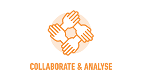 Collaborate & analyse