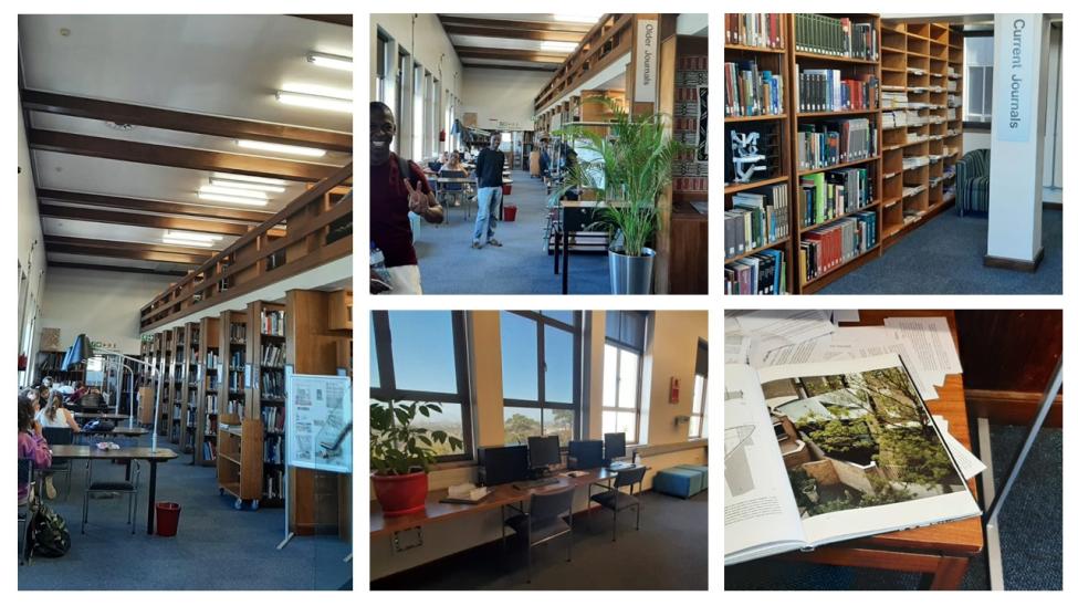 collage of photos from the inside of the Built Environment Library