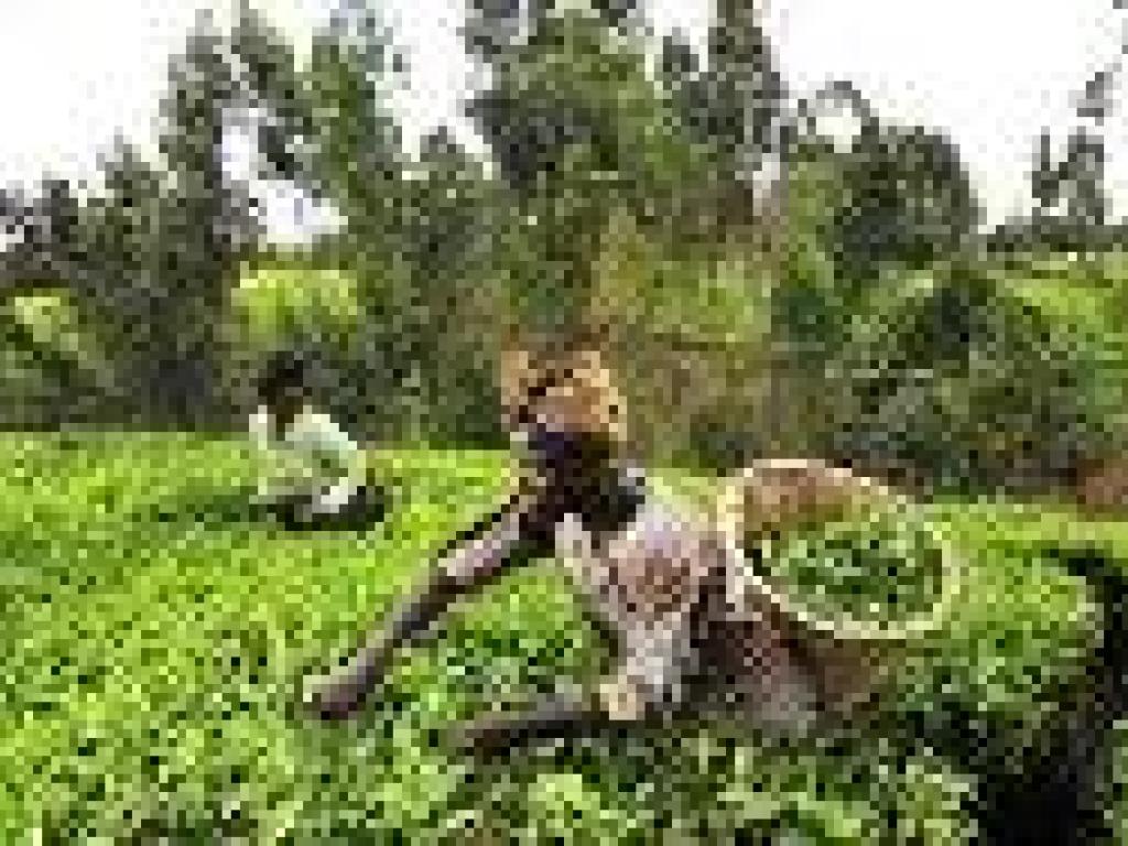 Food security Food security