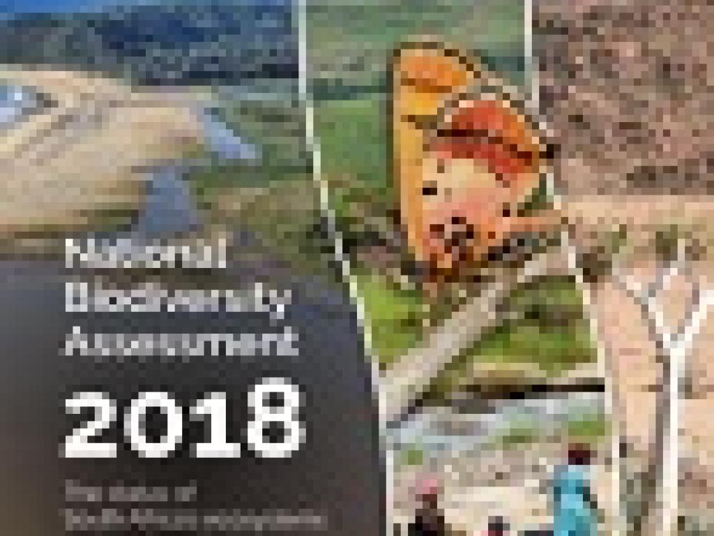 National Biodiversity Assessment 2018 cover National Biodiversity Assessment 2018 cover