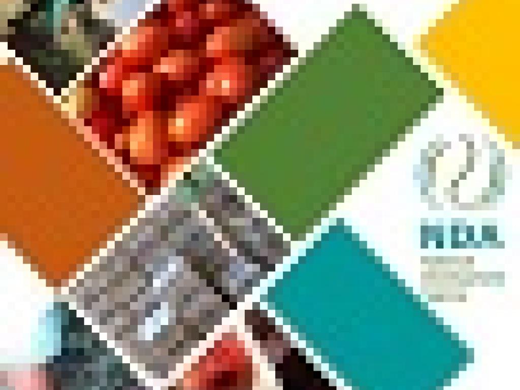 NDA Regulatory Frameworks cover NDA Regulatory Frameworks cover