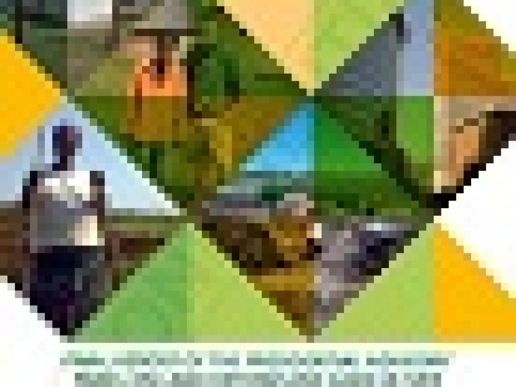 Panel report on land reform cover Panel report on land reform cover