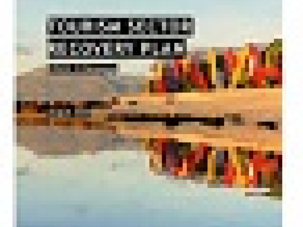 Tourism Sector Recovery Plan cover
