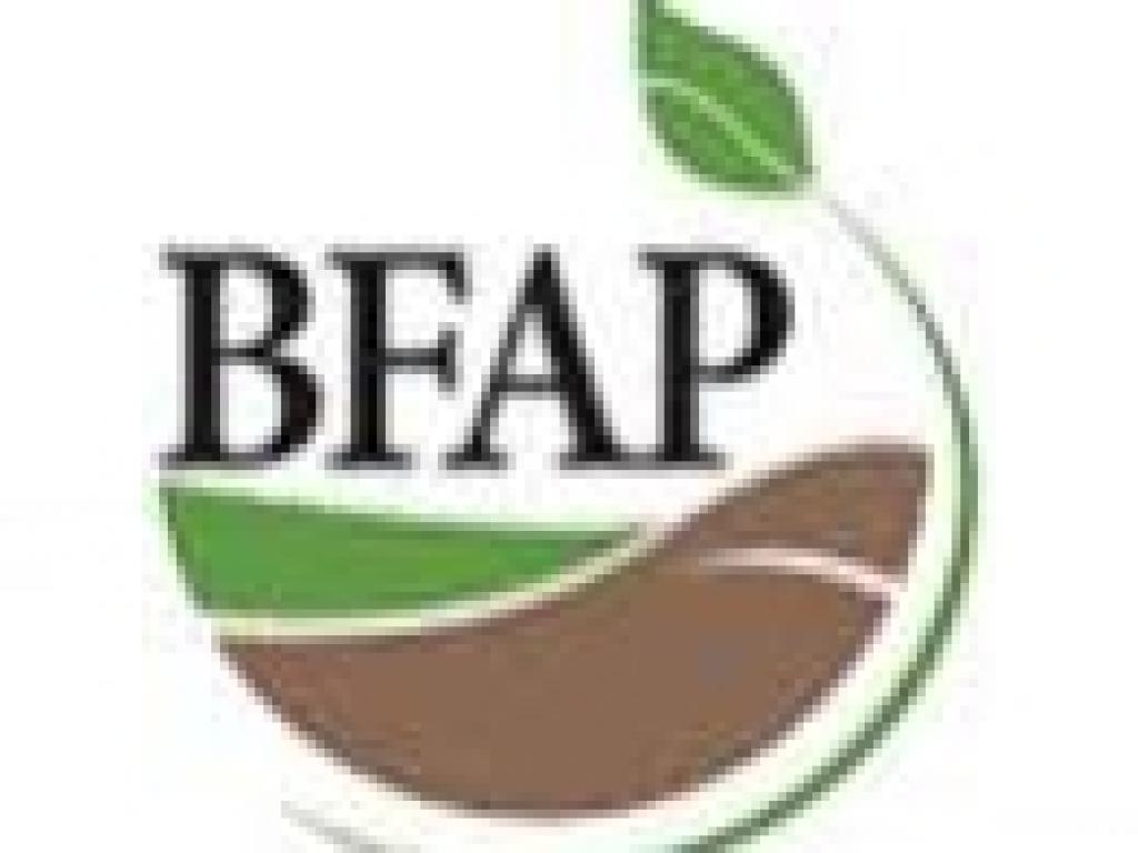 BFAP logo BFAP logo