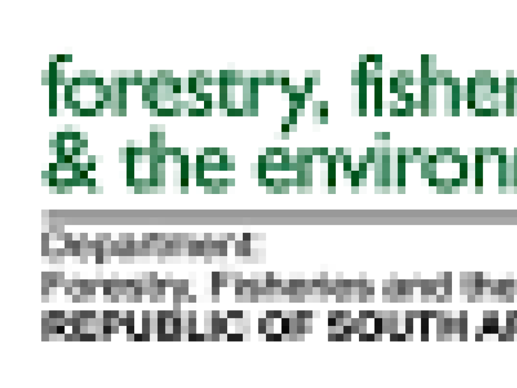 Department of Forestry, Fisheries and the Environment logo