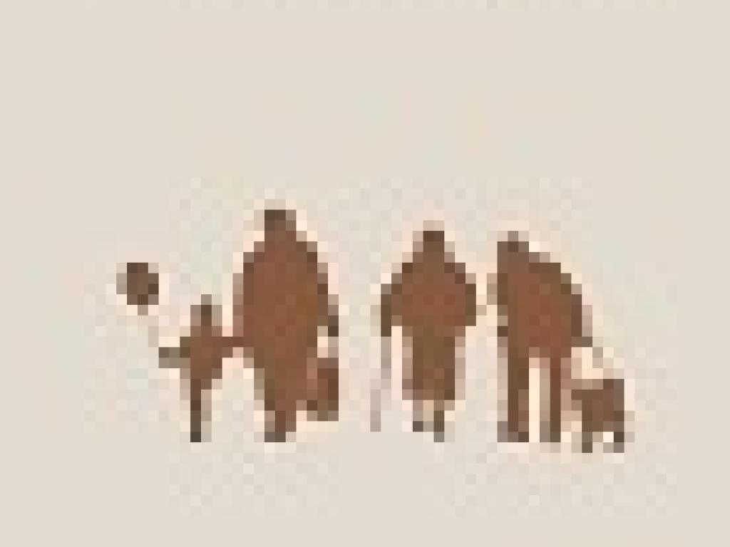 Migration Dynamics of Women, Children and the Elderly in South Africa cover Migration Dynamics of Women, Children and the Elderly in South Africa cover